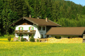 Der Wiesenhof